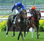 Jockey Alan Munro drives smart filly Bendicion to a solid win on Sunday.<br>Photo by Singapore Turf Club